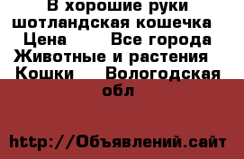 В хорошие руки шотландская кошечка › Цена ­ 7 - Все города Животные и растения » Кошки   . Вологодская обл.